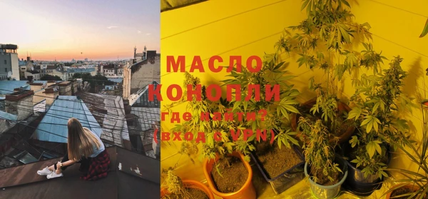 ПСИЛОЦИБИНОВЫЕ ГРИБЫ Арсеньев