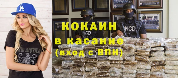 ПСИЛОЦИБИНОВЫЕ ГРИБЫ Арсеньев
