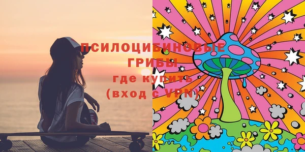 ПСИЛОЦИБИНОВЫЕ ГРИБЫ Арсеньев