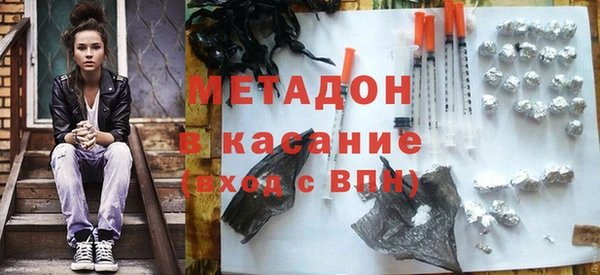 прущие грибы Саяногорск